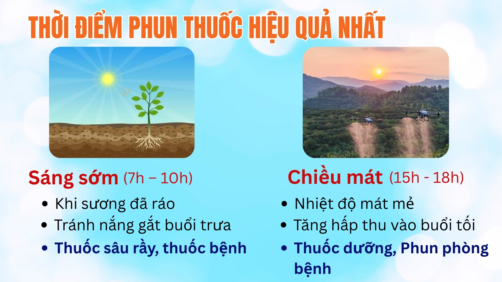 Cách phun thuốc đạt hiệu quả